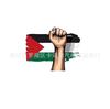 Adesivos de decoração de carro para comércio exterior Bandeira da PALESTINA LIVRE adesivos para carroceria do carro Bandeira palestina adesivos de carro anti-guerra