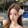 Europa Transfronteiriça e os Estados Unidos Novas Explosões Flor de Ovo Prendedor de Cabelo Flor Flor Pente de Cabelo Anel de Cabelo Acessórios de Penteado Coleção de Pentes de Cabelo para Mulheres
