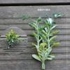 Plantas Verdes Simuladas, Flores Plásticas Falsas, Grama Branca com Geada, Arranjos Florais Decorativos com Grama, Folhas Individuais, Caixa de Doces para Casamento, Caixa de Presente, Grama Decorativa