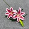Filme com Toque de Mão Impresso em 3D Lírio 3 Cabeças Lírio Perfumado Flor Artificial Lavável Buquê de Noiva Decoração de Casa