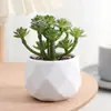 Set de Suculentas Simuladas Plantas Verdes Pequeños Bonsáis Flores Artificiales Transfronterizas Decoración del Hogar Adornos de Escritorio Plantas de Plástico Flores Artificiales