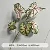 Espárragos verdes, hierba de barba de dragón, materiales florales con temática de bosque, decoraciones de techo para salones de bodas, fondos de flores artificiales y arreglos florales.