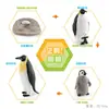 Juguete modelo de animal pequeño simulación ciclo de vida crecimiento rana tortuga pollo Montessori material didáctico preescolar venta al por mayor
