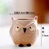 Maceta Grande de Cerámica con Animales de Dibujos Animados Suculentos Venta de Liquidación Simple Diámetro Ancho Maceta Pequeña Transpirable de Cerámica Gruesa Creativa