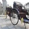Biciclo de Celebración de Bodas para Dos, Triciclo de Pasajeros Estilo Antiguo, Biciclo Tradicional Impulsado por Humanos para Turismo, Venta Directa en Shanghái