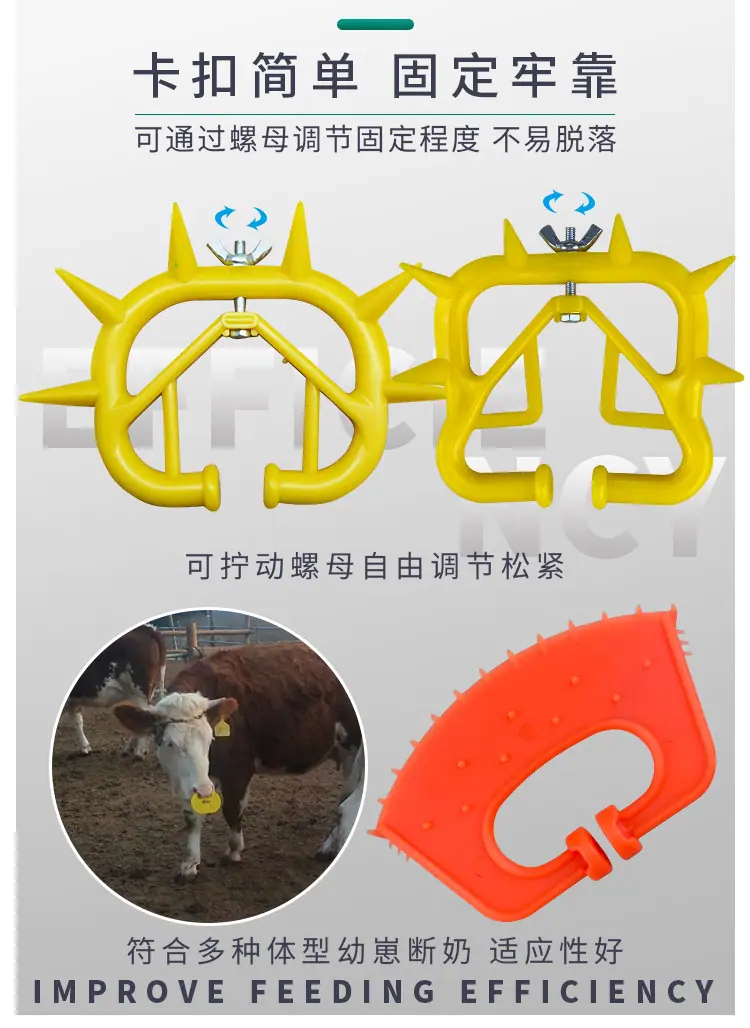 牛鼻刺_04.jpg