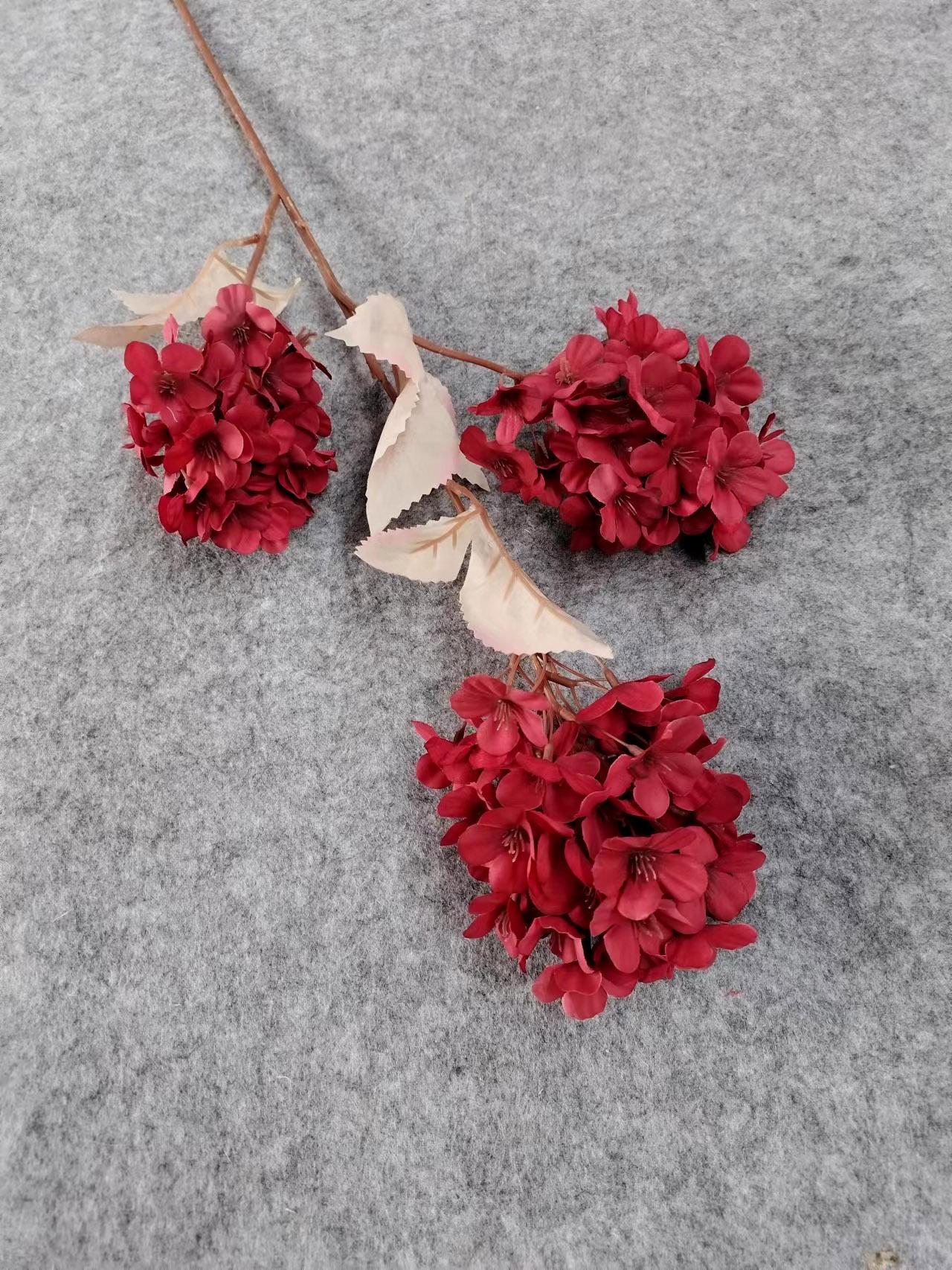 0b24cea5eeafbbe544da283cfd14ae