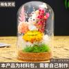 DIY feito à mão flor permanente flor seca planta micro paisagem espécime tampa de vidro fundo de cortiça tampa contra poeira para micro paisagem Exibição