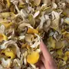 Venta Directa y al por Mayor desde Yunnan: Nuevas Setas de Chanterelle, Amarillo Grasa de Pollo, 1 Libra por Bolsa, Preferible Compra al por Mayor, Frescas, Secas, Alta Calidad