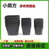 Vaso de berçário carnudo pequeno quadrado preto vários estilos plástico preto vaso de flor de berçário base plantio quadrado espessado fabricantes