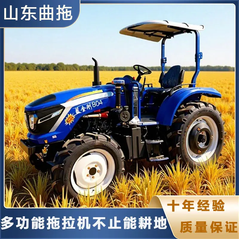 蓝金刚804 2