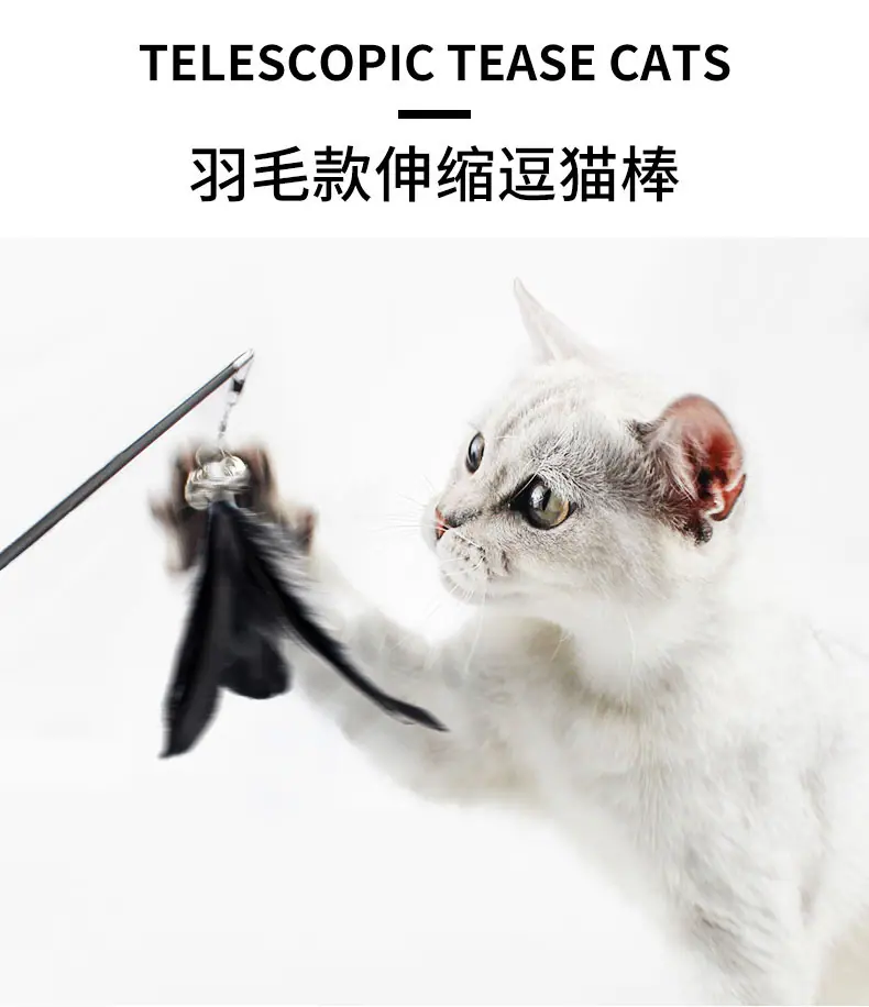 未标题-2_01.jpg