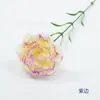 Cravo de 8cm Ramo Único Cravo Artificial Temporada de Formatura Dia dos Professores Dia das Mães Presente Buquê Arranjo de Flores Acessórios DIY
