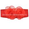 Cinturón decorativo de doble flor de moda de estilo coreano con sello elástico para cintura, falda de vestido para mujer, cinturón combinable