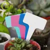 La segunda generación marca de flores etiqueta de plástico suculenta inserto de jardinería marca etiqueta de plástico etiqueta de jardinería en forma de T flores