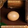 Modelos de Ovos Simulados, Ovos de Pato Falsos, Ovos de Ganso, Ovos de Avestruz, Ovos de Dinossauro, Ovos de Codorna, Ovos de Páscoa para Pintura DIY, Adereços de Fotografia