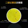 Pelota de Golf de Competición Nueva de Dos Capas, Pelota Surlin Blanca de Ultra Larga Distancia, Pelota de Golf de Alta Elasticidad para Uso en el Campo