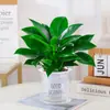 Planta em Vaso Princesa Verde Diamante Dourado Planta de Interior Rabanete Verde Planta Verde Hidropônica Suculenta Mesa de Escritório Flor de Fácil Cuidado para Vasos Preguiçosos