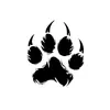 Adesivos de Tatuagem Populares de Alta Qualidade Transfronteiriços Estilo Escuro Gato Garra Anjo Sol Leopardo Tigre Escorpião Cruz Lua