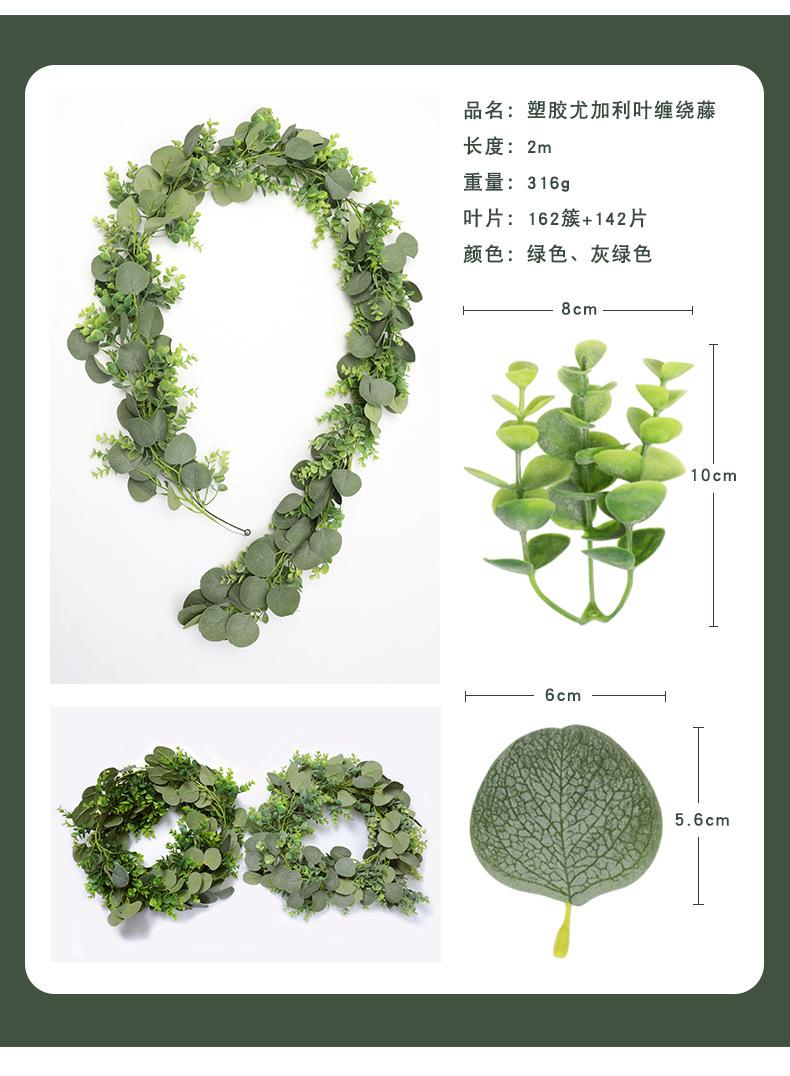 尤加利藤条集合-兰桂坊_06