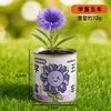 Caixa Cega de Plantio Criativa em Lata, Kit DIY para Crianças Alívio de Estresse Vaso de Planta Verde para Desktop Observação Científica Planta Caixa Cega Atacado