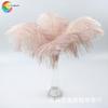 Álbum cálido pluma red rojo rosa importado pluma de avestruz accesorios de escenario boda pluma arreglo floral pluma decorativa 35-40cm