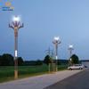 Lámpara de Magnolia LED Lámpara China 8m Plaza de Ingeniería Municipal Poste de Luz de Calle de Parque Iluminación Exterior Luz de Paisaje