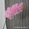 Flor artificial de alta calidad, 9 cabezas, 7 cabezas, 5 cabezas, Phalaenopsis, tacto realista, tela de seda, flor falsa, decoración nórdica para bodas.
