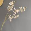 Flor Simulada Color Maillard Otoño Fénix Mariposa Orquídea Suministro de Ultramar Muestra para el Hogar Decoración de Paisaje de Boda Al por Mayor