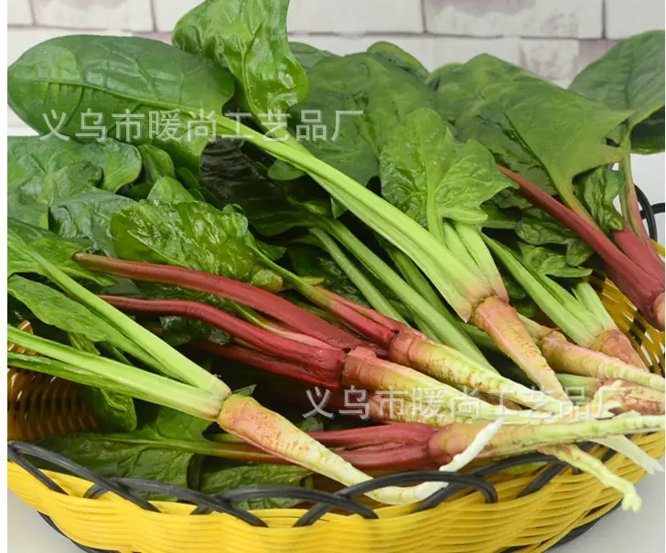 菠菜