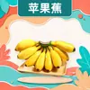 Entrega Mayorista de Plátano Manzana de Guangxi 2/3/5/ 4.5kg Maduración Natural Dulce y Ácido Buen Sabor Plátano Rosa Fruta Fresca