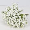 Flor Artificial Gypsophila Boda Boda Ramo de Novia 7 Cabezas Tacto Real Ramo de Gypsophila Ramo Falso Venta al por Mayor