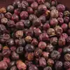 Sementes de Bérberis, Espinhos de Gato, Sementes de Bérberis, Espinhos de Anis Estrelado Atacado e Dropshipping