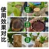 Solución Nutritiva de Madera Brasileña Es una Solución Especial para Germinación y Enraizamiento, Cultivo Hidropónico, Promoviendo la Brotación, Previniendo el Amarillamiento de las Hojas y Previniendo el Moho en la Base, Sin Necesidad de Dilución