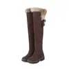 Botas de Comercio Exterior Más Vendidas, Botas Nuevas para Mujer, Botas Altas con Terciopelo Interior, Botas de Algodón, Botas de Tacón Bajo, Zapatos para Mujer Talla Grande, Envío Directo