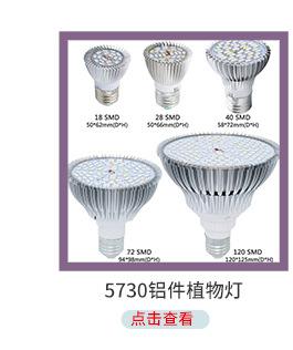 芸茗详情_02-_04.jpg