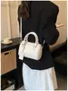 2026 Nova Bolsa Boston Feminina Nicho High-End Bolsa de Mão Bolsa de Ombro Versátil para o Dia a Dia Bolsa Almofada