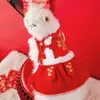 Roupas de Ano Novo para Pets Roupas de Algodão Casal Dança do Leão Roupas de Ano Novo Quentes e Festivas Roupas para Cachorro Gato Roupas para Cachorro de Duas Pernas