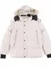 29 Tipos de Jaquetas de Penas Canada Goose, Mesmo Estilo que Wyndham, Parkas Masculinas e Femininas 3808May