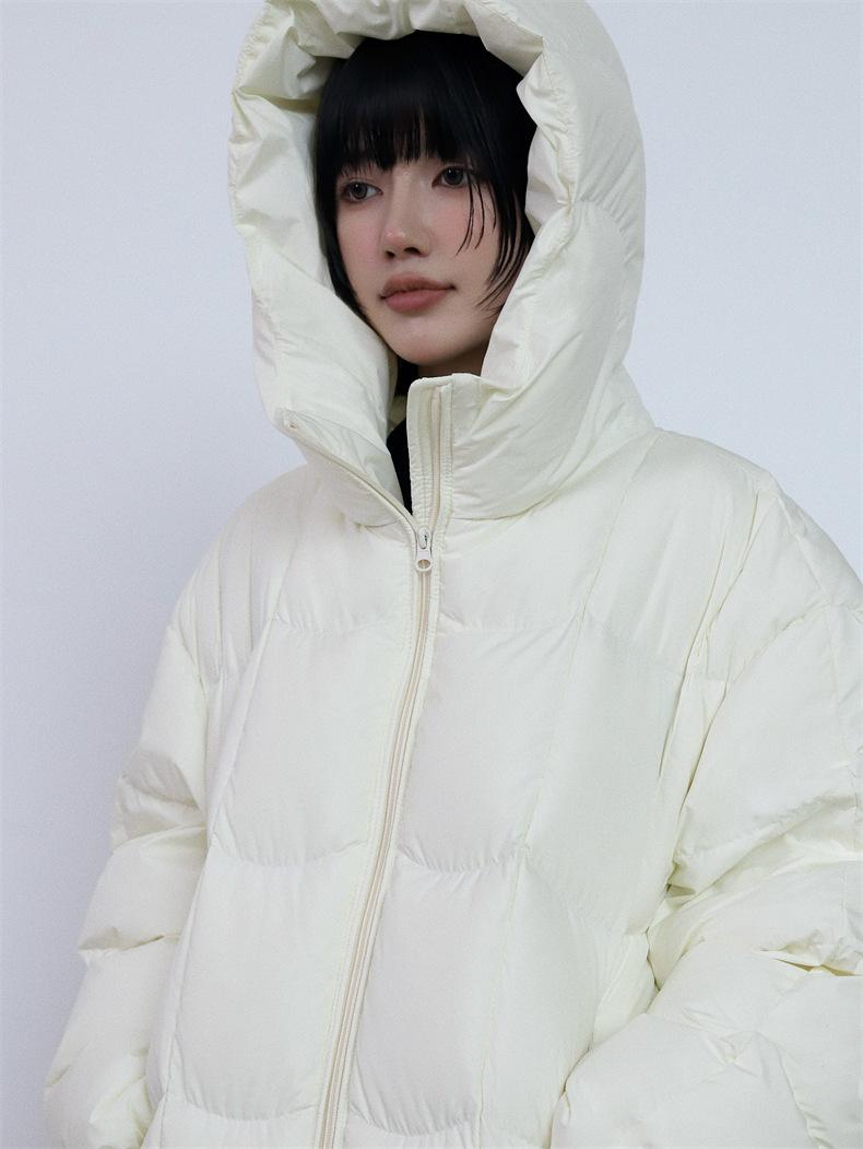 2024-11-19 174018.jpg