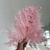 Hojas de Helecho Alpino Eterno al por Mayor del Fabricante: Hojas de Helecho Alpino Doradas, Flores Inmortales, Ramos de Flores Secas, Decoración de Bodas, Hierba Decorativa