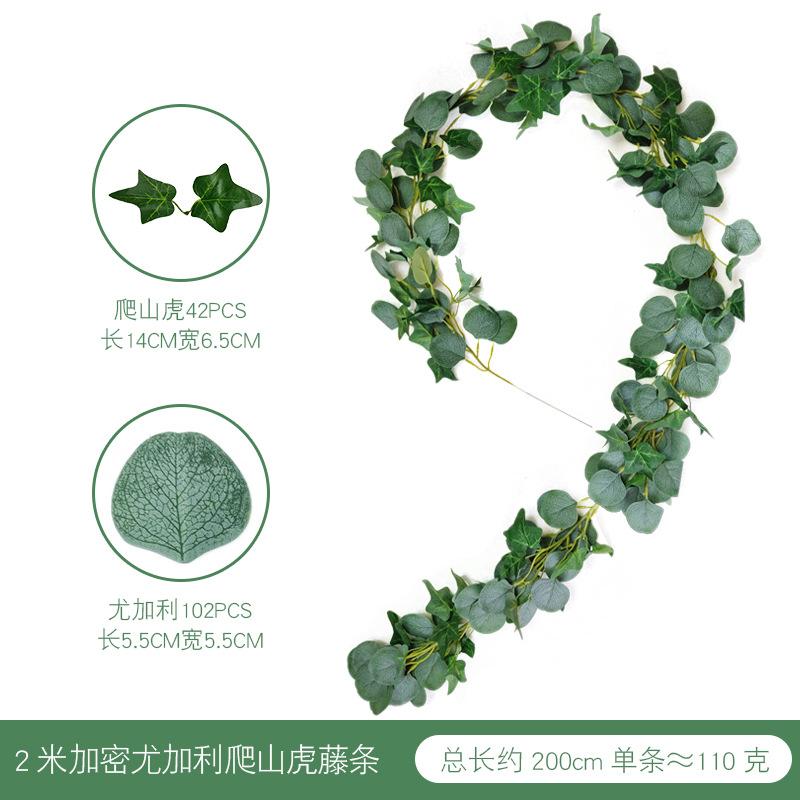 2米爬山虎藤条.jpg