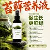 Solución Nutritiva Especial para Musgo Plantas de Interior en Maceta Floración Siembra de Flores Semillas de Flores Plantas Verdes Cultivo en Tierra Hidropónica Fertilizante Universal