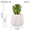 Planta Suculenta Simulada Macetas, Decoración de Muebles de Oficina Nórdicos, Nuevas Suculentas Bonsái Simuladas de Alta Calidad para el Hogar