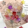 Acrílico Gelatina Borde Dorado Flor de Ciruelo Degradado Pétalos Hecho a Mano DIY Cadena para Teléfono Joyería Materiales para Ensartar Accesorios