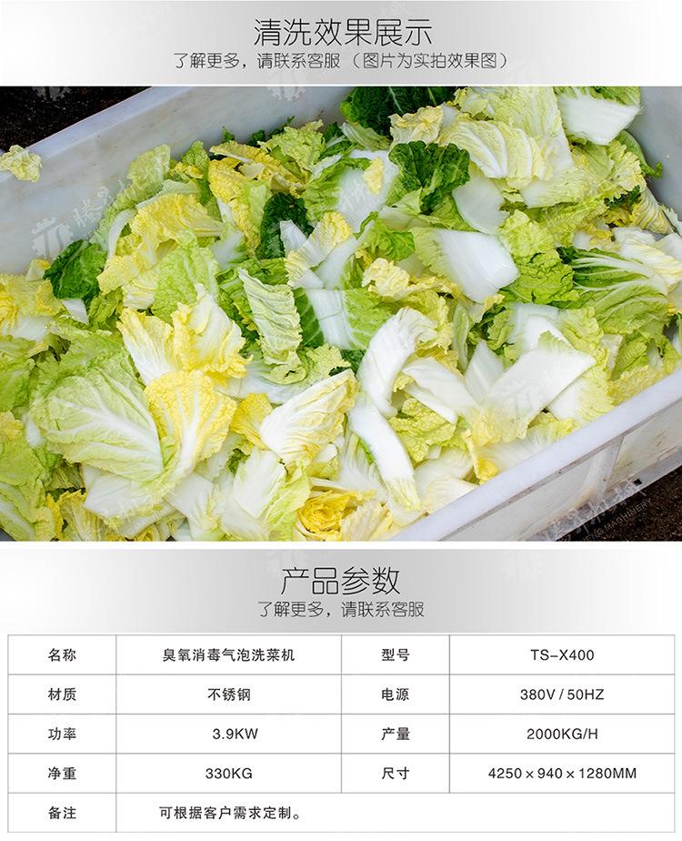 TS-X400-气泡洗菜机-详情页(750px)_03.jp