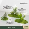 Musgo Artificial Verde para Paisagismo, Micro-Paisagens de Jardim, Materiais Decorativos, Musgo Sintético, Enfeites de Grama Artificial
