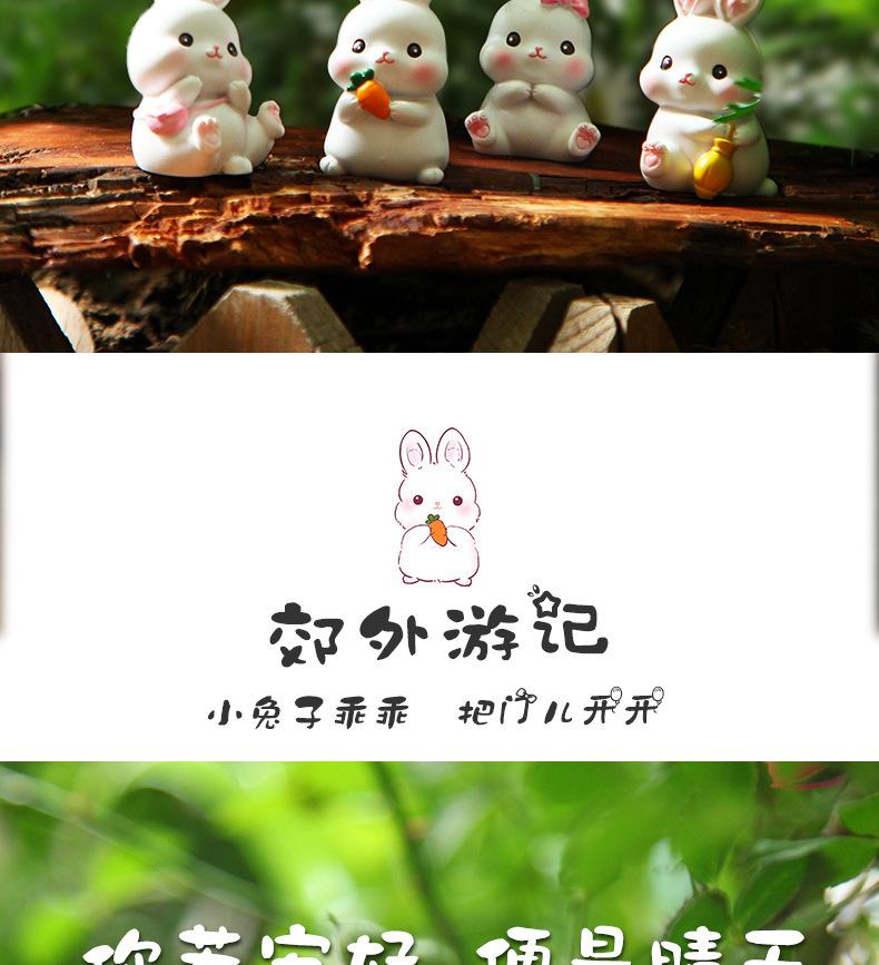 详情图片_11.jpg