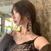 Aretes de Círculo Grande con Lazo de Cinta de Leopardo Otoñal y Borla Aretes de Lujo Ligero Sentido de Alta Gama Elegantes Aretes de Círculo Lisos Aretes de Tachuela