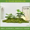 [Série dos 24 Termos Solares] Paisagismo de Jardim de Plantas Simuladas Florais Pátio Interno Decoração Grande e Macia Hotel
